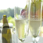 Tenuta Le Viste *