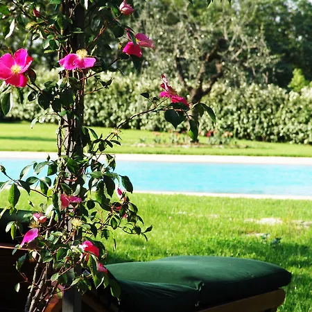 Bed & Breakfast Tenuta Le Viste Scandicci