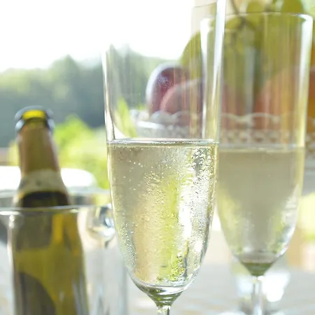 Tenuta Le Viste *