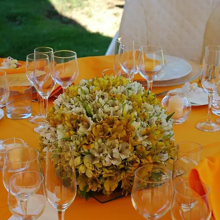 Bed & Breakfast Tenuta Le Viste Scandicci