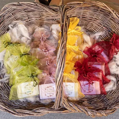 Tenuta Le Viste Bed & Breakfast *